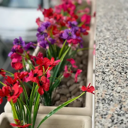 Vacanze Di Isabella Stoia Giardini Naxos