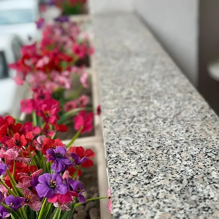 Holiday home Vacanze Di Isabella Stoia Giardini Naxos