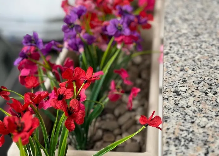 Vacanze Di Isabella Stoia Giardini Naxos